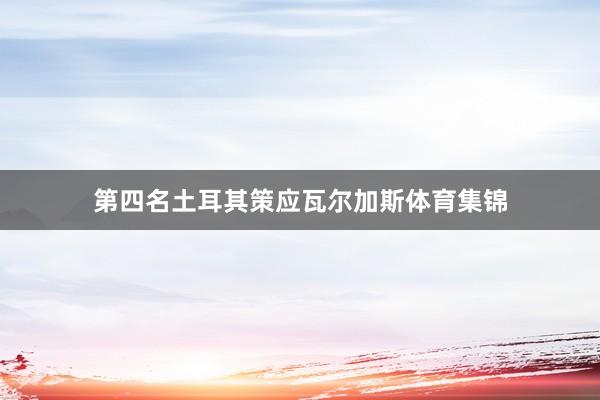 第四名土耳其策应瓦尔加斯体育集锦