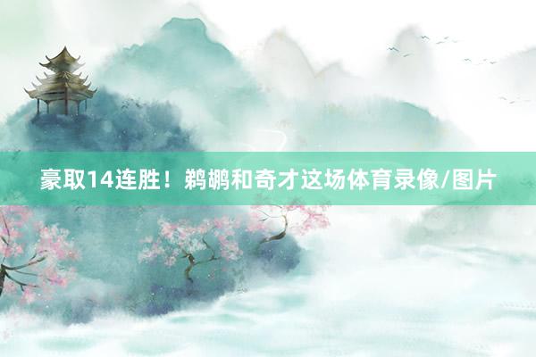 豪取14连胜！鹈鹕和奇才这场体育录像/图片