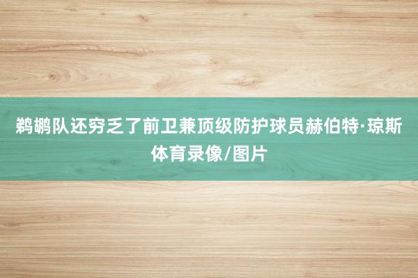 鹈鹕队还穷乏了前卫兼顶级防护球员赫伯特·琼斯体育录像/图片