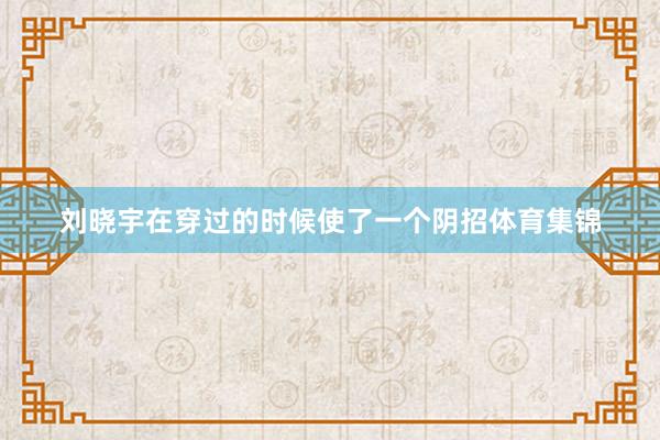 刘晓宇在穿过的时候使了一个阴招体育集锦