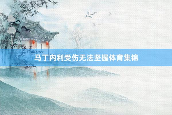 马丁内利受伤无法坚握体育集锦