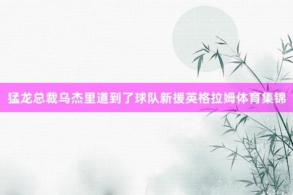 猛龙总裁乌杰里道到了球队新援英格拉姆体育集锦