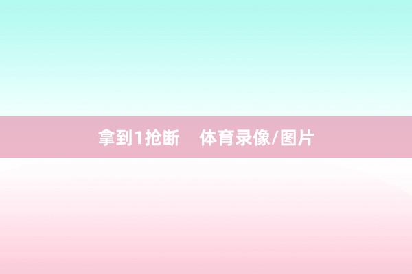 拿到1抢断 体育录像/图片