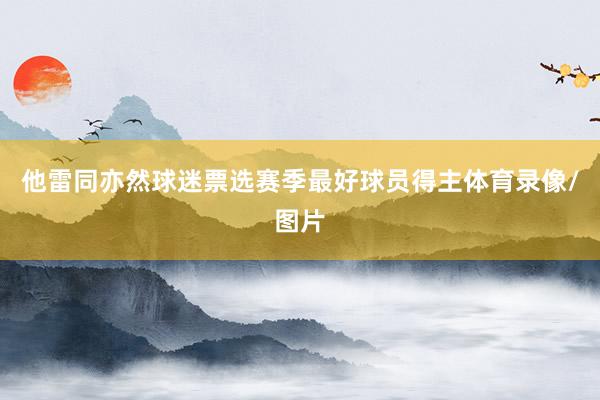 他雷同亦然球迷票选赛季最好球员得主体育录像/图片