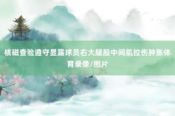 核磁查验遵守显露球员右大腿股中间肌拉伤肿胀体育录像/图片