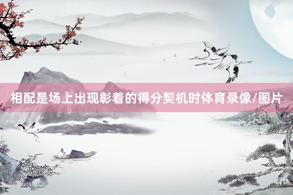 相配是场上出现彰着的得分契机时体育录像/图片
