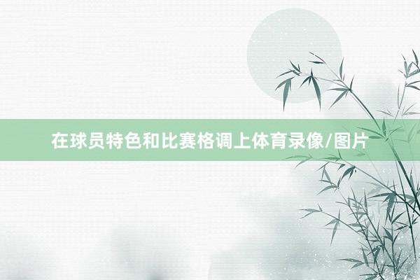 在球员特色和比赛格调上体育录像/图片