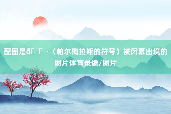 配图是🐷（帕尔梅拉斯的符号）被闭幕出境的图片体育录像/图片