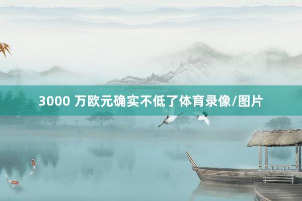 3000 万欧元确实不低了体育录像/图片