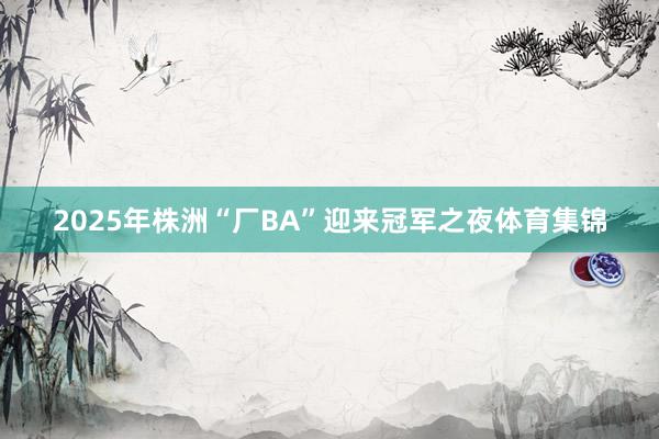 2025年株洲“厂BA”迎来冠军之夜体育集锦