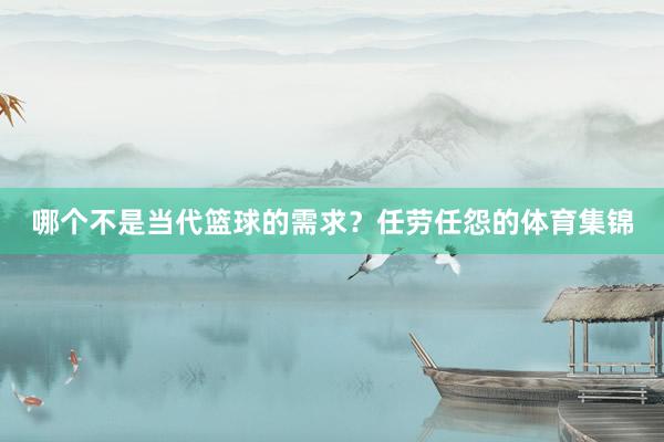 哪个不是当代篮球的需求？任劳任怨的体育集锦