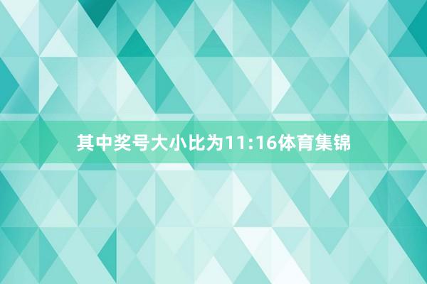 其中奖号大小比为11:16体育集锦