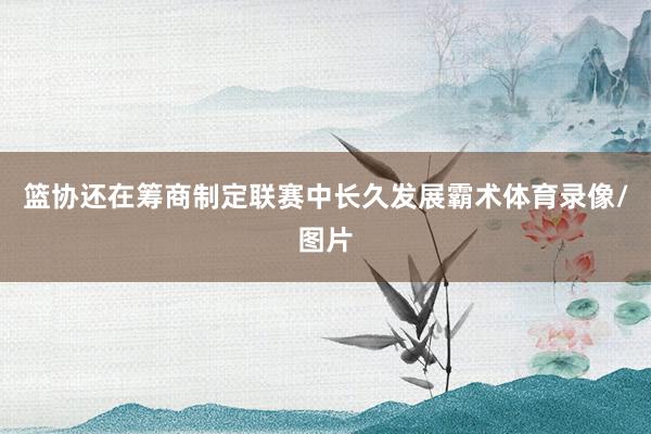 篮协还在筹商制定联赛中长久发展霸术体育录像/图片