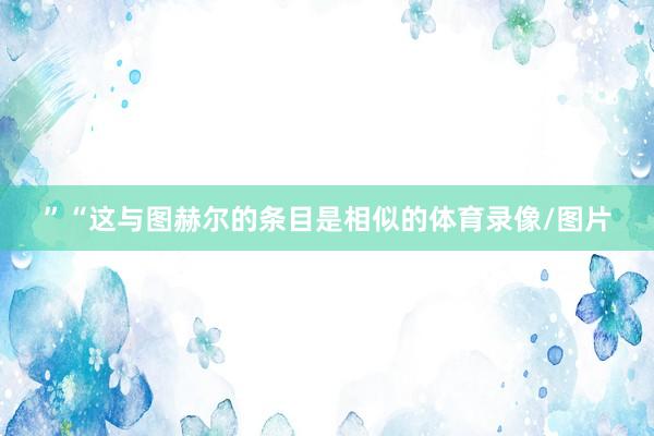 ”“这与图赫尔的条目是相似的体育录像/图片