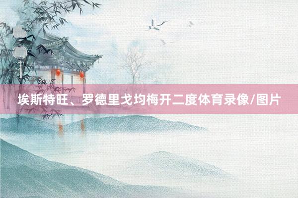 埃斯特旺、罗德里戈均梅开二度体育录像/图片