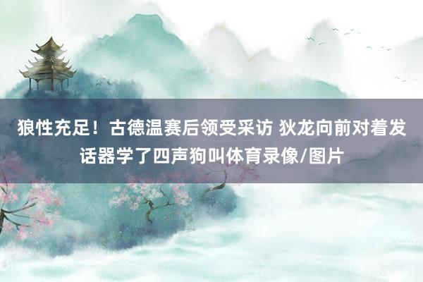 狼性充足！古德温赛后领受采访 狄龙向前对着发话器学了四声狗叫体育录像/图片
