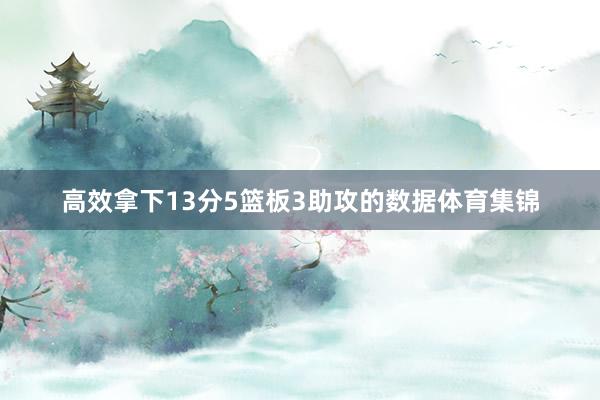 高效拿下13分5篮板3助攻的数据体育集锦