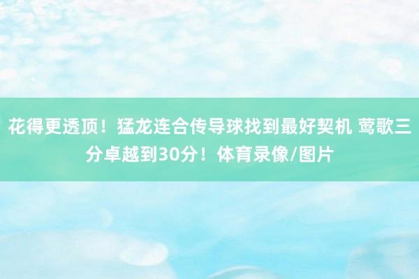 花得更透顶！猛龙连合传导球找到最好契机 莺歌三分卓越到30分！体育录像/图片
