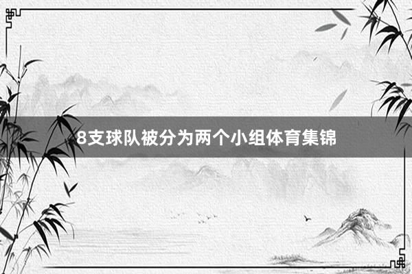 8支球队被分为两个小组体育集锦