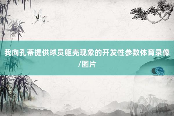 我向孔蒂提供球员躯壳现象的开发性参数体育录像/图片