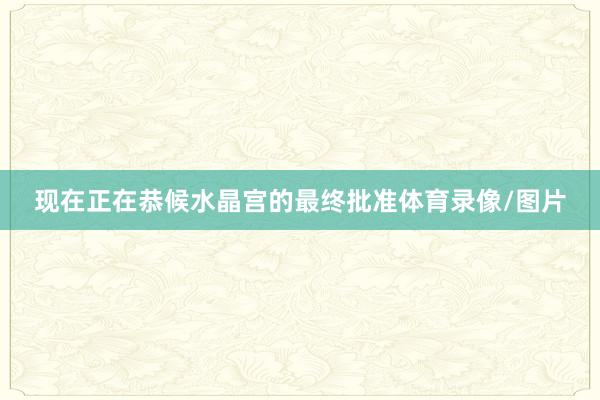 现在正在恭候水晶宫的最终批准体育录像/图片