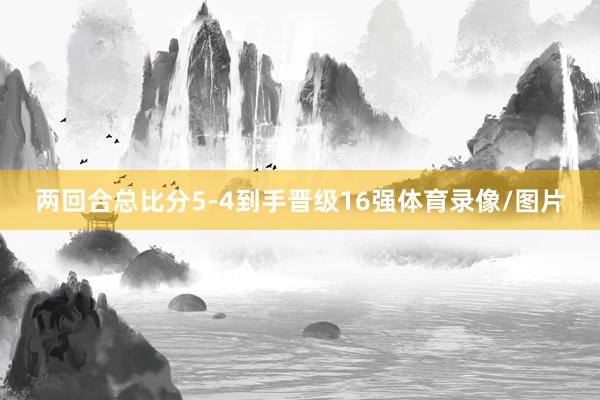 两回合总比分5-4到手晋级16强体育录像/图片