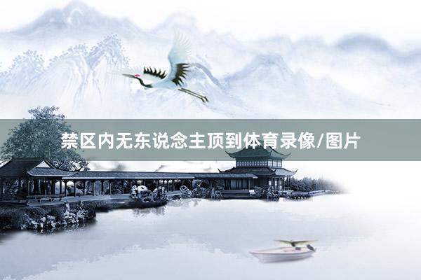 禁区内无东说念主顶到体育录像/图片