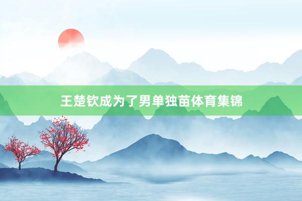 王楚钦成为了男单独苗体育集锦
