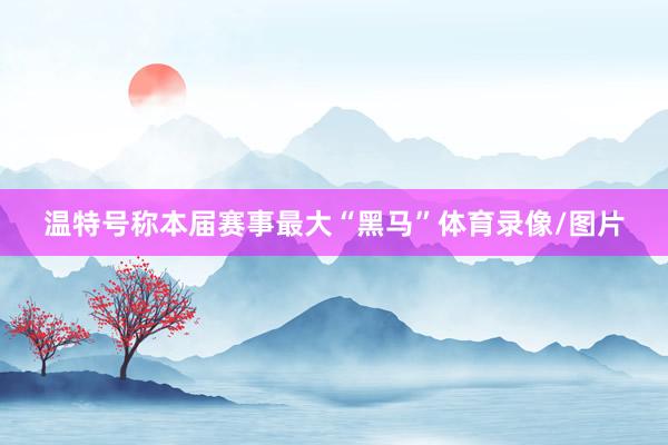 温特号称本届赛事最大“黑马”体育录像/图片