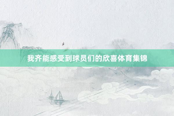 我齐能感受到球员们的欣喜体育集锦