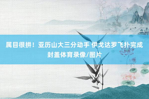 属目很拼！亚历山大三分动手 伊戈达罗飞扑完成封盖体育录像/图片