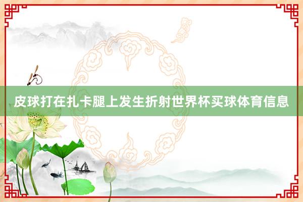 皮球打在扎卡腿上发生折射世界杯买球体育信息