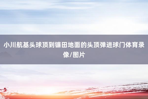 小川航基头球顶到镰田地面的头顶弹进球门体育录像/图片